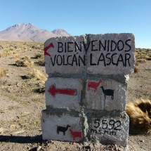 Welcome to Lascar, 5592 meters heigh